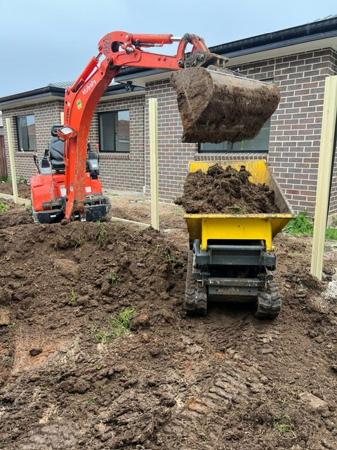 Mini Excavator for hire 