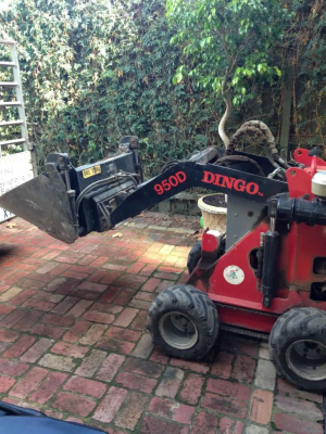 Hire Mini digger/dingo